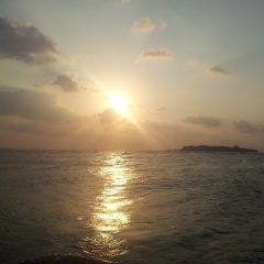 Егор Дмитриев, Goa