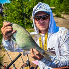 Алексей Аниськович, Калининград