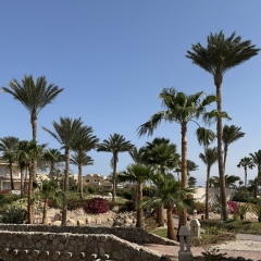 Good Boy, 15.03, Алматы