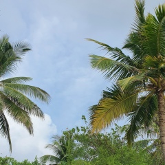 Екатерина Трушлякова, 10.12.1985, Москва