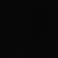 Миша Насидзе