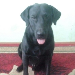 Максим Лучинкин, 28.05.1986, Атырау