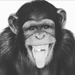 Алексей Соловей, 08.09, Волковыск