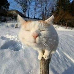 Антон Югов, 22.03.1988, Ярославль