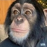 Артур Торчинов, 30.05, Владикавказ