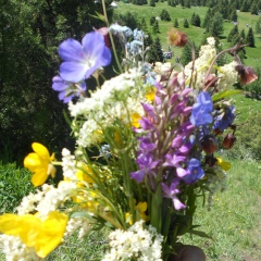 Догдургул Зулпуева, Бишкек