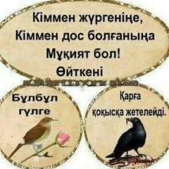 Данияр Замкенов, 26.03.1991