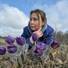 Анастасия Светлакова, Севастополь