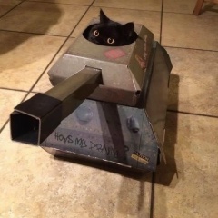 Дмитрий Кузьмин