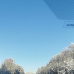 Андрей Иванов, 08.02, Воронеж