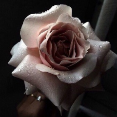 Zhannat Magzumova, 06.07, Усть-Каменогорск