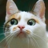 Kristina Krasnova, 11.11.1986, Таллин