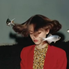 Fish Cotton, Калининград