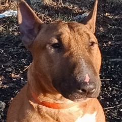 Иван Семенов, 04.06.1985, Барнаул