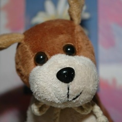 Владимир Недашковский, 02.09.1981, Киев