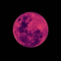 Фатима Мержоева, 30.01, Москва