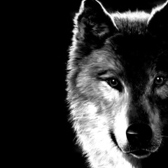 Анатолий Гребенюк, 04.06, Симферополь