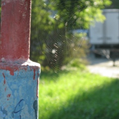 Кирилл Чернышёв, 08.05