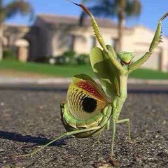 Андрей Зенькин, 07.05.1990, Краснодар