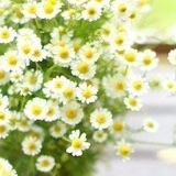 Аня Мазур, 04.09, Красилов