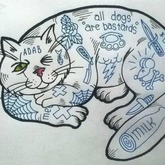 Danny Daniel, 05.08, Хабаровск