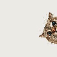 Константин Богачёв, 20.06.2006, Москва