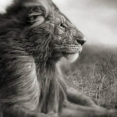 Билал Шарипов, 04.07, Ростов-на-Дону