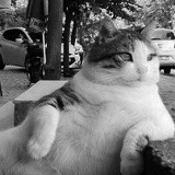 Алексей Лебедев, 08.12, Санкт-Петербург