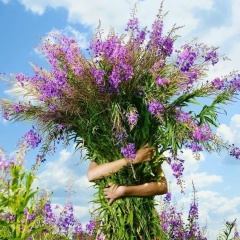 Ирина Красноперова, Санкт-Петербург