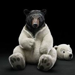 Денис Гром, 22.11, Курск