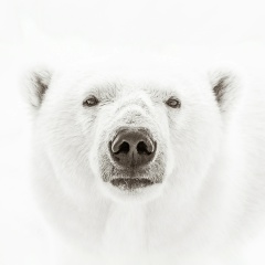 Dmitry Velichko, 27.06, Таганрог