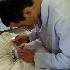 Tiko *****, 06.04, Ереван