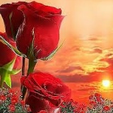 Adel Lina, 01.08.2000, Москва