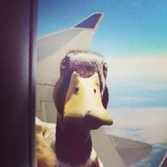 Dmitriy Yurchenko, 01.01.1977, Благовещенск