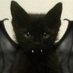 Сергей Владимирович, 02.08, Москва