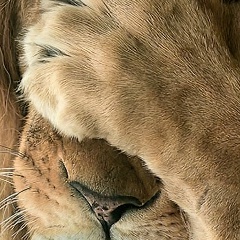 Наталия Слуднякова, 20.08, Санкт-Петербург