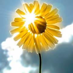 Елена Еременко, 07.05.1963, Новосибирск