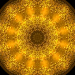 Neuro Human, Москва