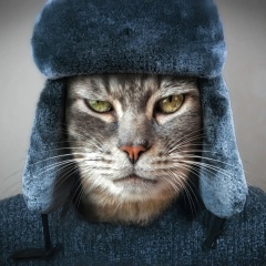 Факир Станиславский, 19.05, Сургут