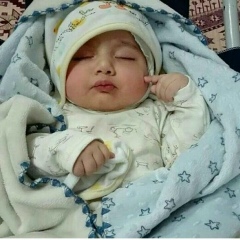 Nil Mavlon, 01.12, Mazar-i-Sharif