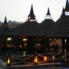 Alexa Al, New York City