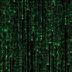 Дамир Ибраев, 07.03.1989, Кокшетау