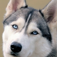 Светлана Рыбина, 13.06, Москва