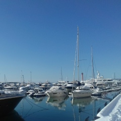 Выше Звезд, Москва