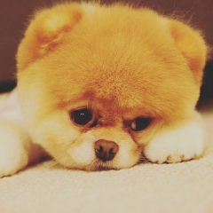 Светлана Казарян, 30.09.1992, Алматы