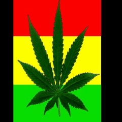 Нияз Туменбаев, 07.12, Тараз