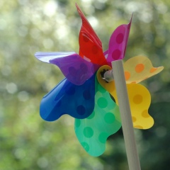 Аріна Черепіні, 20.04, Калининград