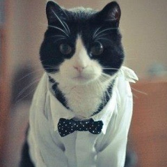 Айгерим Булембаева, 27.01, Алматы