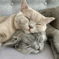 Анна Коновалова, 09.07.1989, Санкт-Петербург