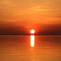 Nikolay Golubok, 05.03, Волгоград